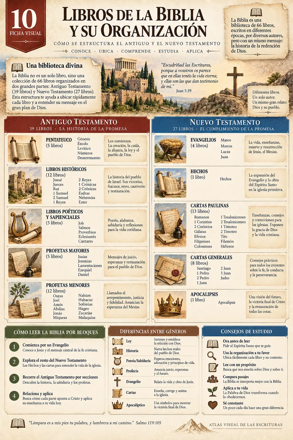 Ficha Visual: Libros de la Biblia y su Organización